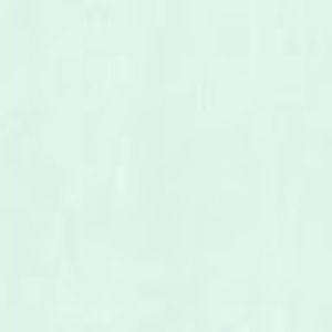 Meet your Posher, Bailey